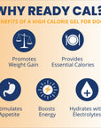 Under the Weather Ready Cal® PLUS Electrolytes for Dogs