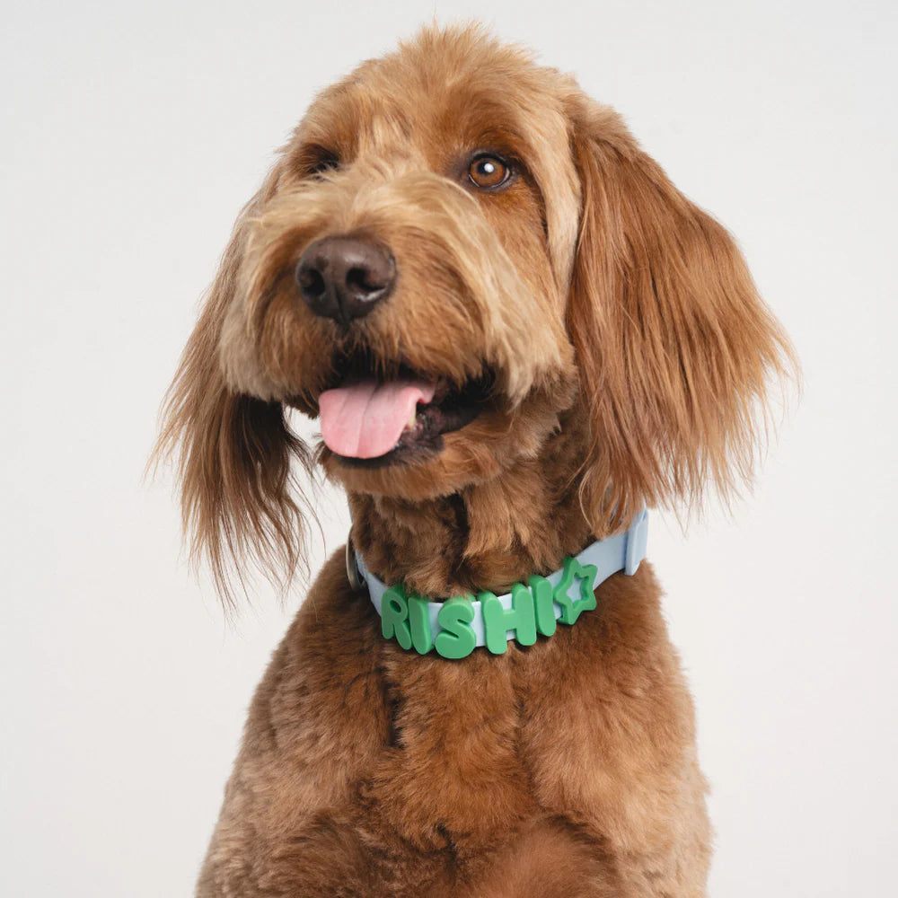 Spring Land Collars Springland Silicone Dog Charms | Letters & Symbols for Personalized Do ...