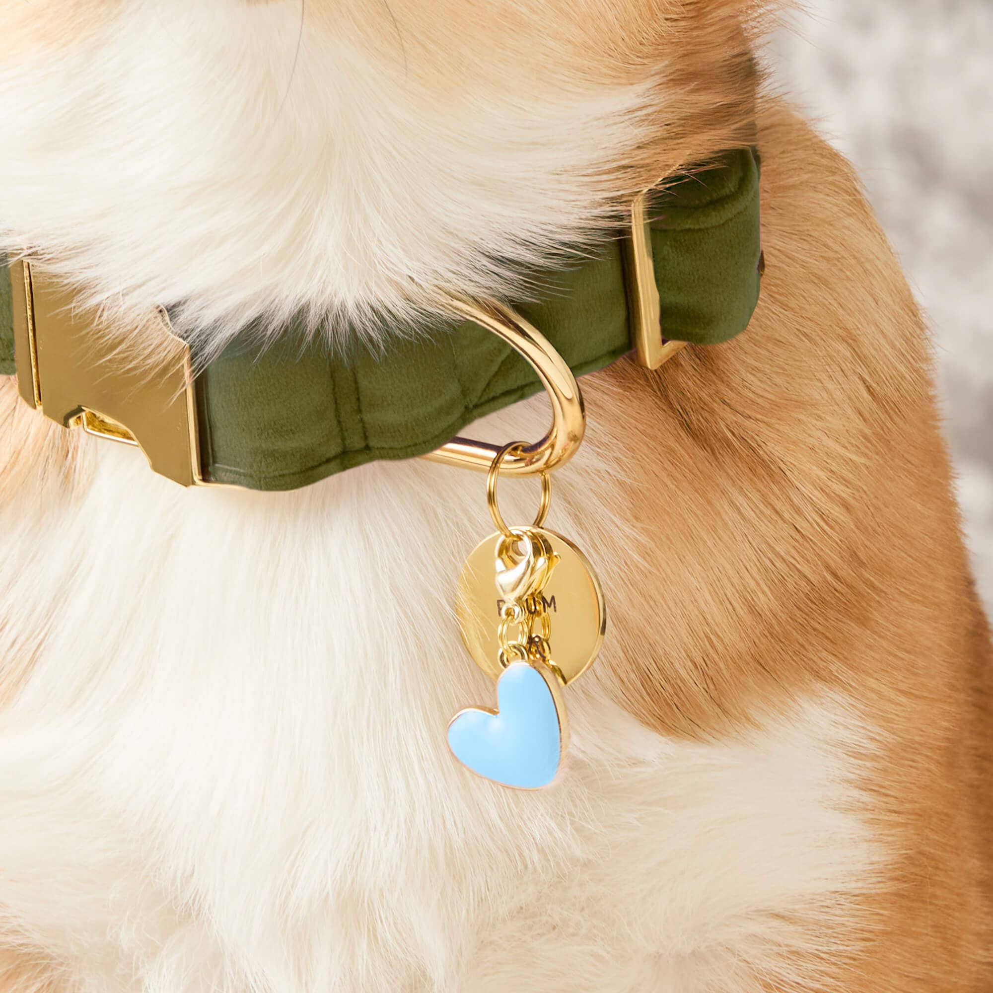 The Foggy Dog - Blue Heart Collar Charm: Charm Only