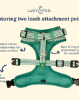 Lucy & Co. - Tomato, Tomahto Embroidered No-Pull Harness