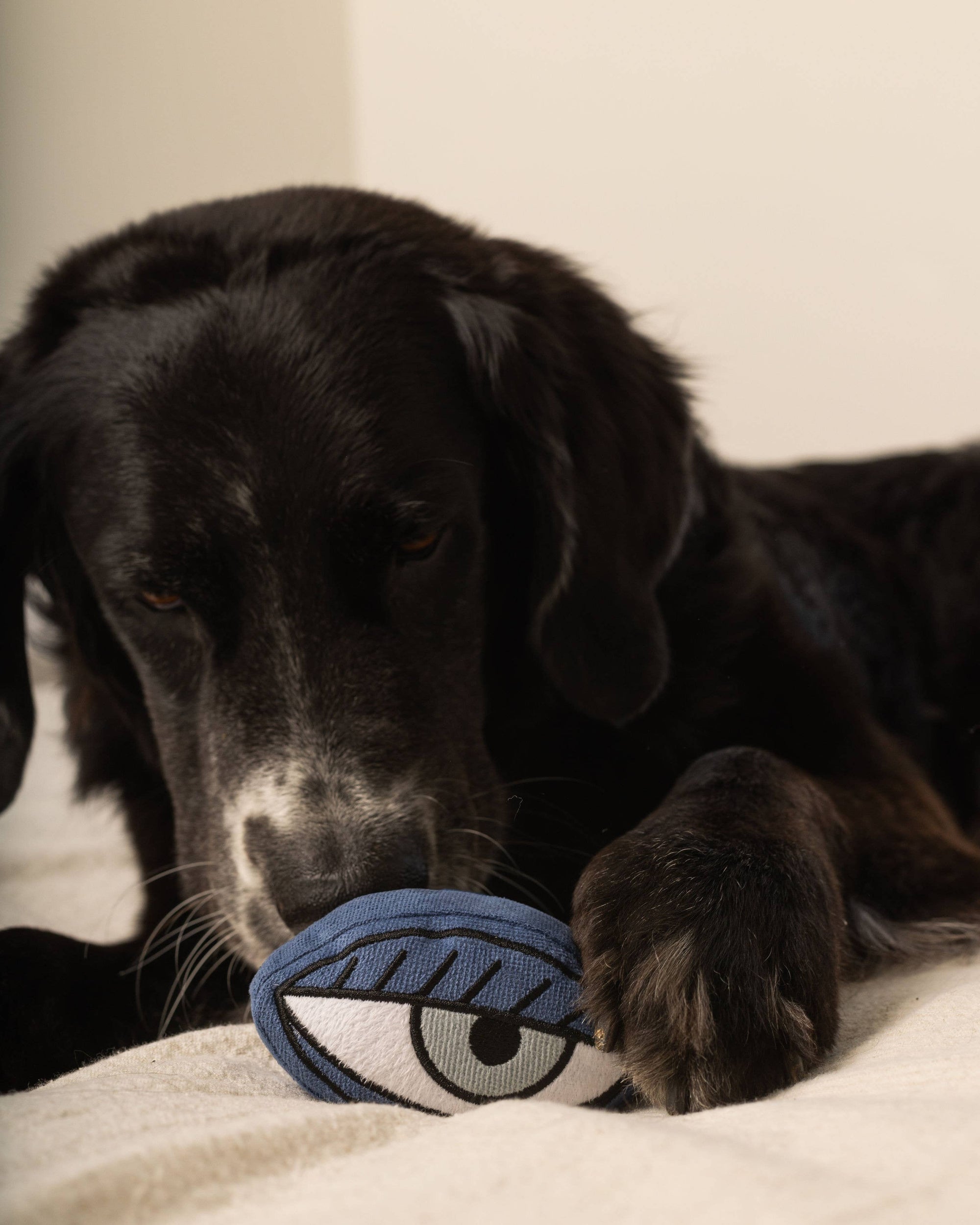 Lambwolf Collective - PICASSO//ENRICHMENT DOG TOY