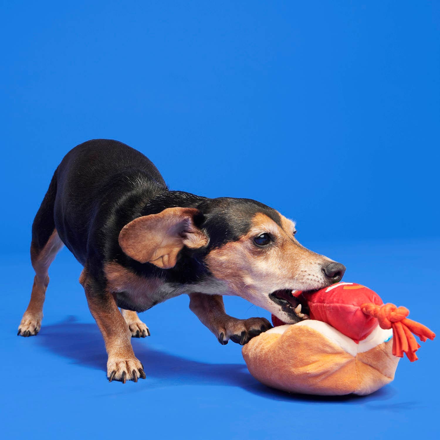 BARK The Everything Dog Fourth Of July BBQ Plush Dog Toy