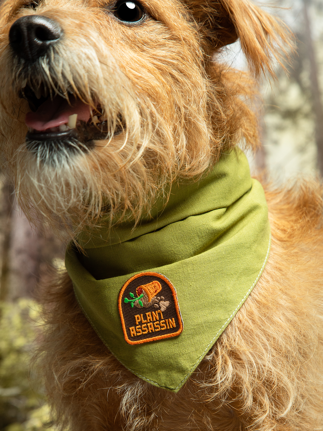 Scout's Honour Pty Ltd - Plant Assassin iron-on patch for pets