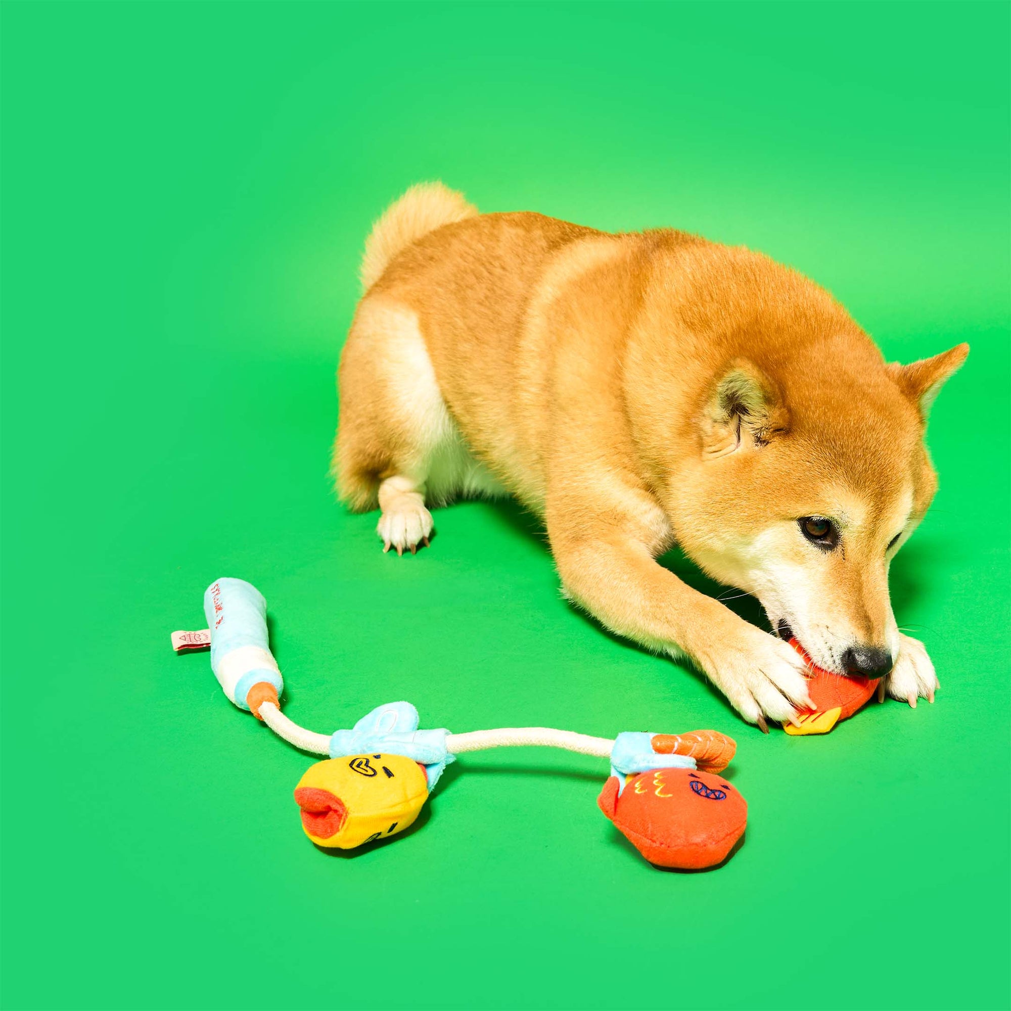 the furryfolks - Fishing Nosework &amp; Tug Toy