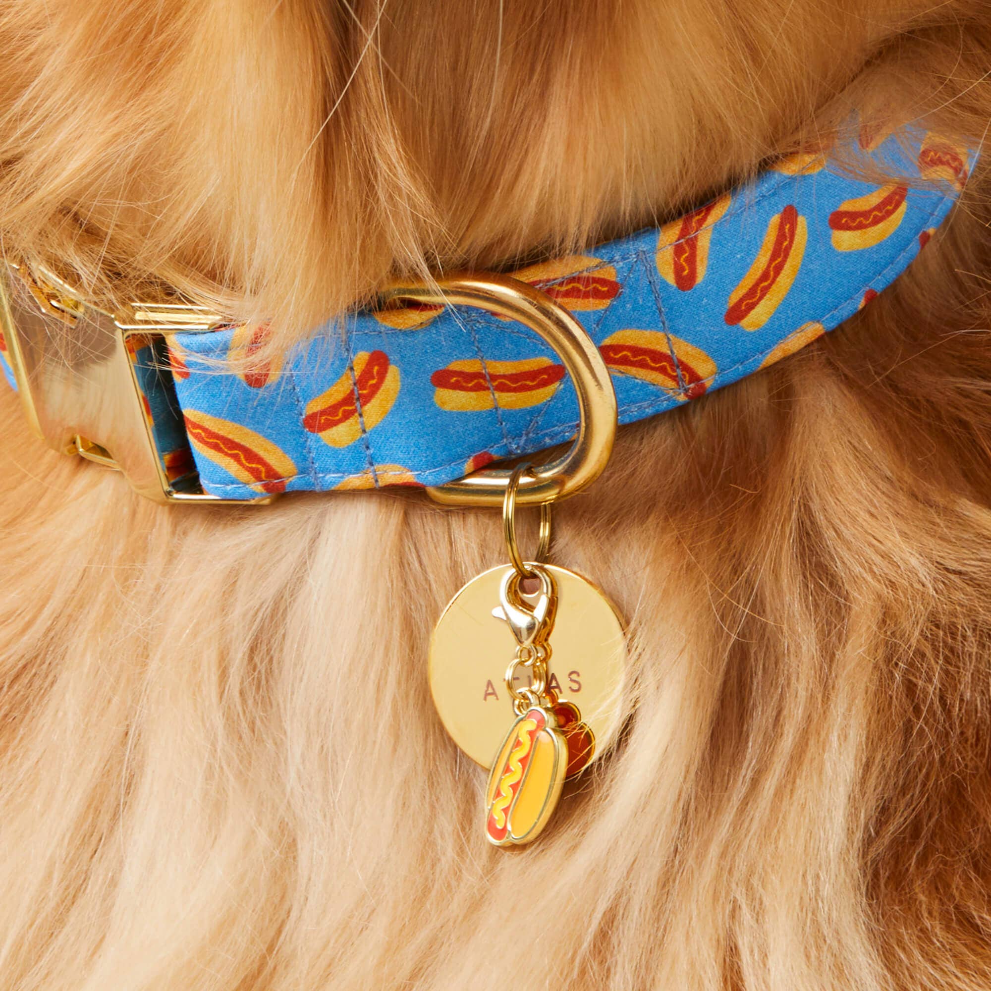 The Foggy Dog - Hot Dog Collar Charm: Charm Only