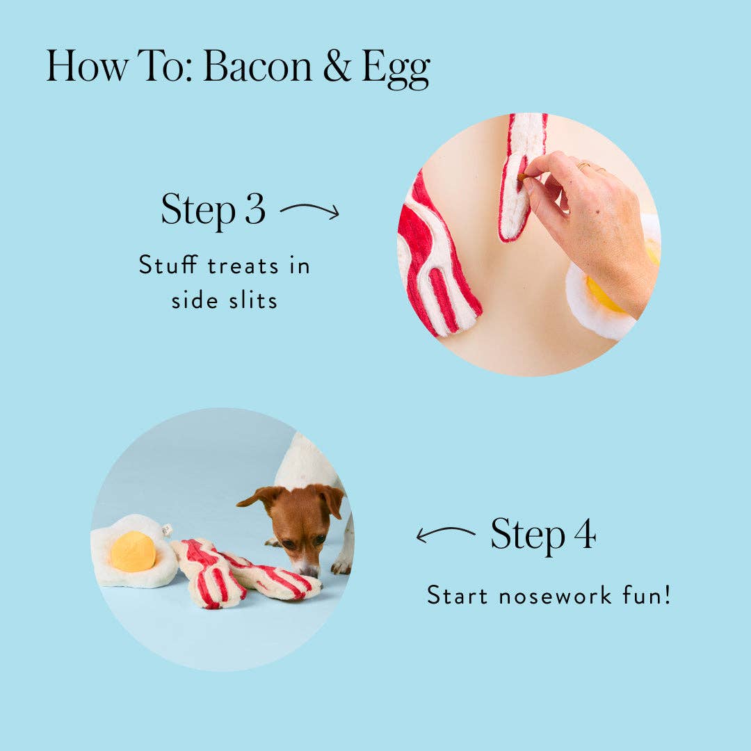 The Foggy Dog - Bacon and Egg Interactive Toy Set