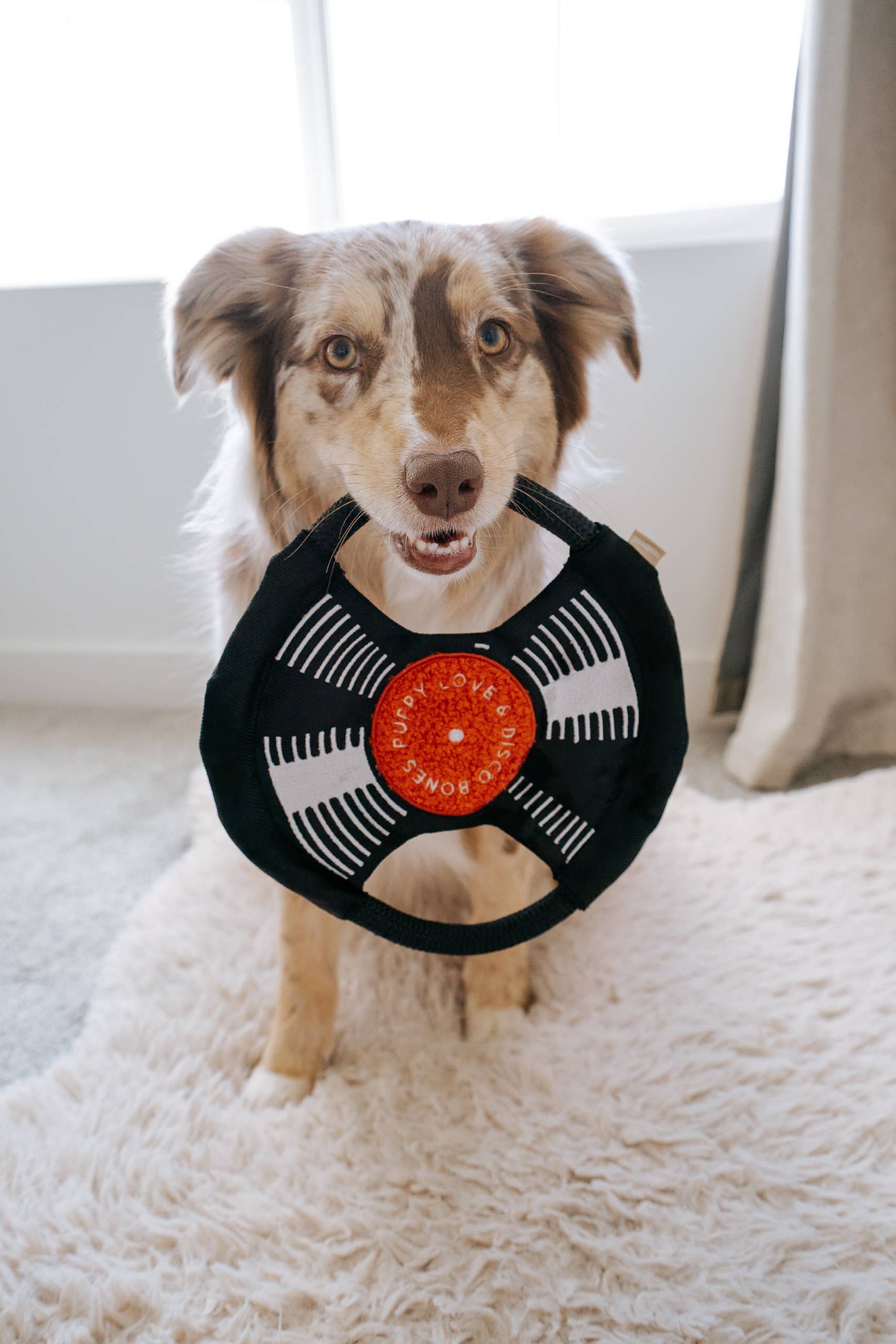 Lambwolf Collective - BARK TO BEAT //ENRICHMENT DOG TOY