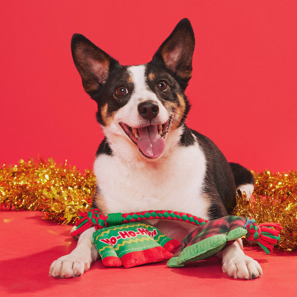Pet Palette Distribution - BARK Holiday Christmutts Sweaters Dog Toy