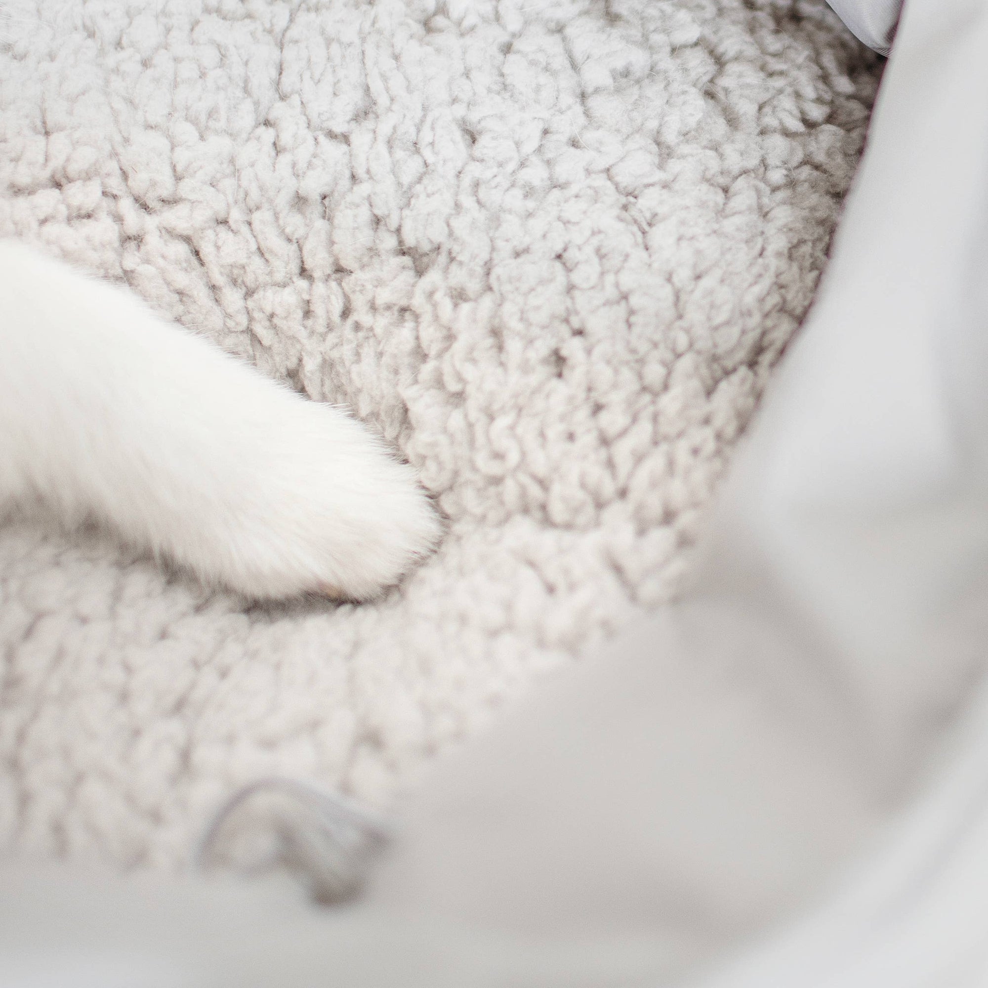 Lambwolf Collective - OLLA // PETITE PET CARRYCOT // DOG &amp; CAT CARRIER: Camel