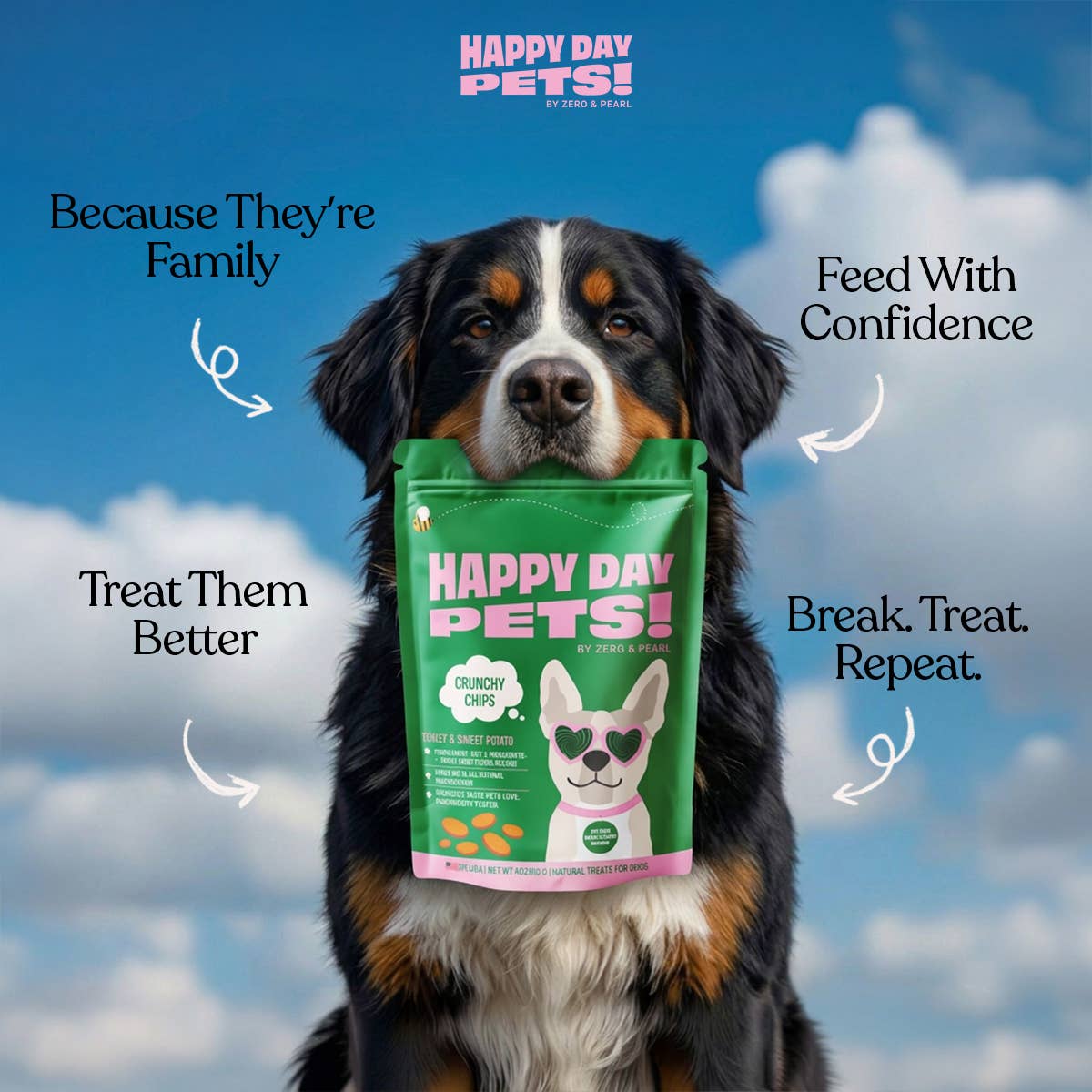 Happy Day Pets - Happy Day Pets Turkey &amp; Sweet Potato Chips Dog Treats