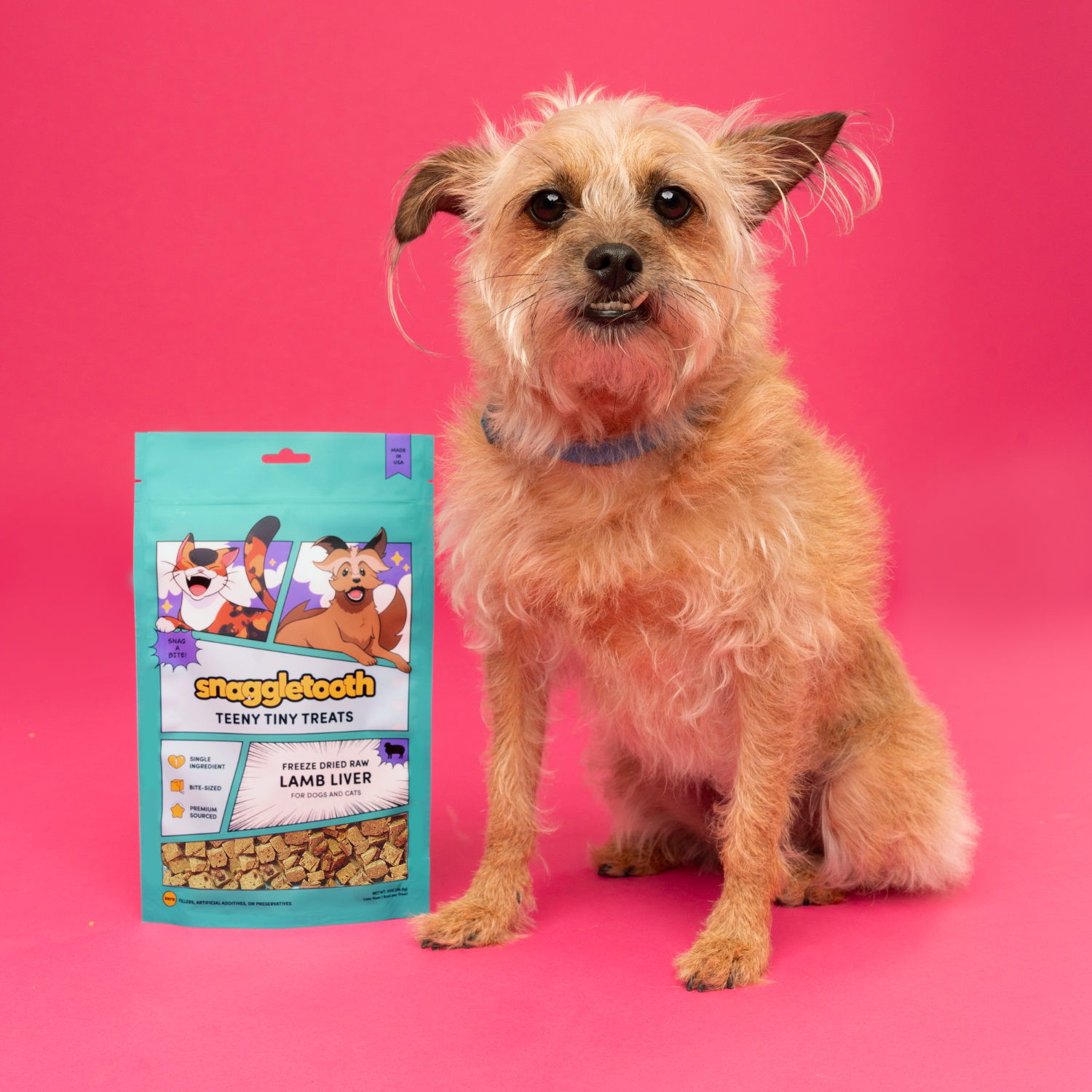 Snaggletooth Pets - Lamb Liver Teeny Tiny Treats