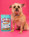 Snaggletooth Pets - Lamb Liver Teeny Tiny Treats