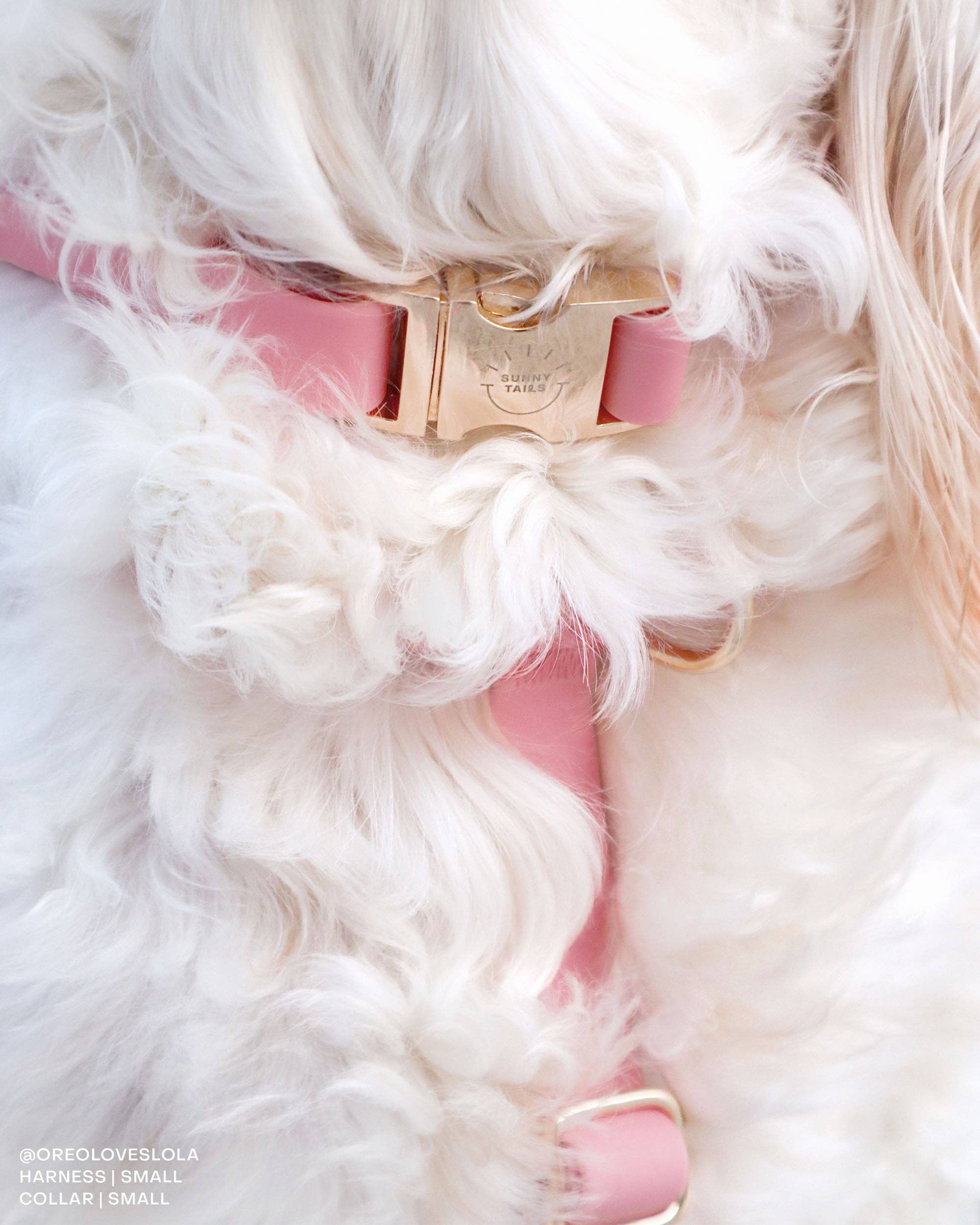 SUNNY TAILS - Perfect Pink Waterproof Dog Collar: LARGE