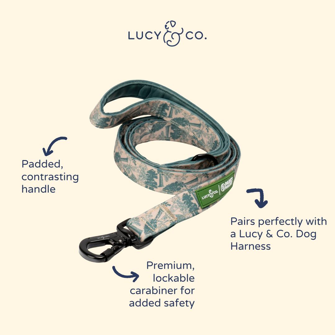 Lucy &amp; Co. - Lucy &amp; Co. x Parks Project Sequoia Seedlings Leash