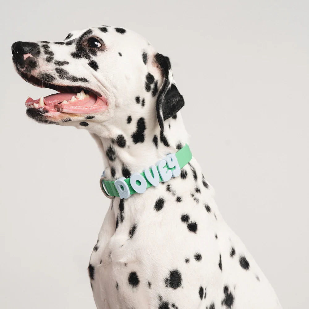 Springland Silicone Dog Charms | Letters &amp; Symbols for Personalized Dog Collars and Leashes