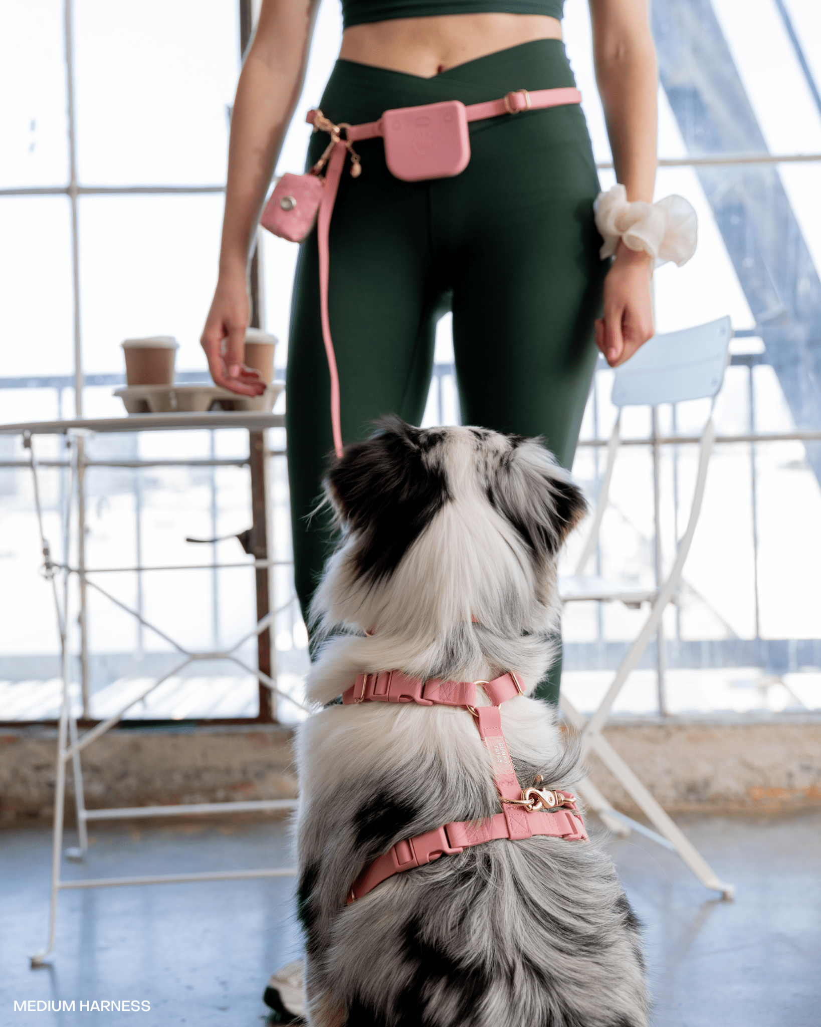 SUNNY TAILS - Perfect Pink 4-in-1 Convertible Hands Free Cloud Dog Leash: Wide
