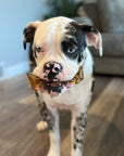 Wag & Bright Supply Co. - Mighty Marrows Collagen Dental Chew - Beef Liver - 3 Sizes: Large