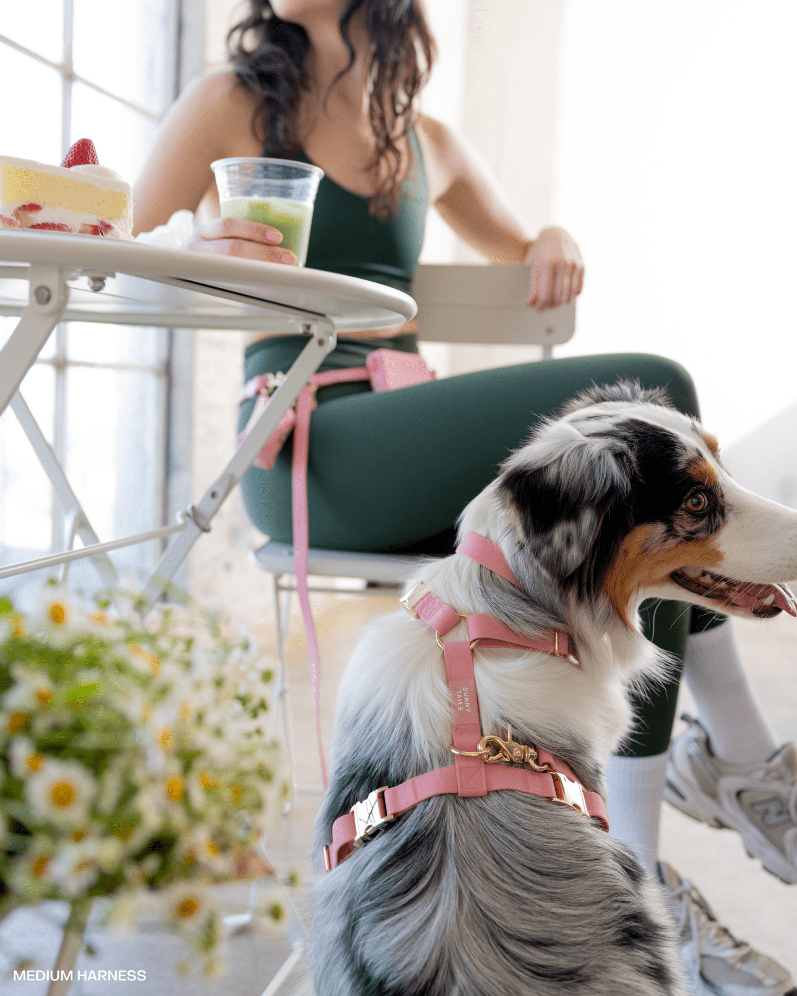 SUNNY TAILS - Perfect Pink 4-in-1 Convertible Hands Free Cloud Dog Leash: Wide