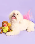 the furryfolks - Happy Bear Tofino Nosework Toy