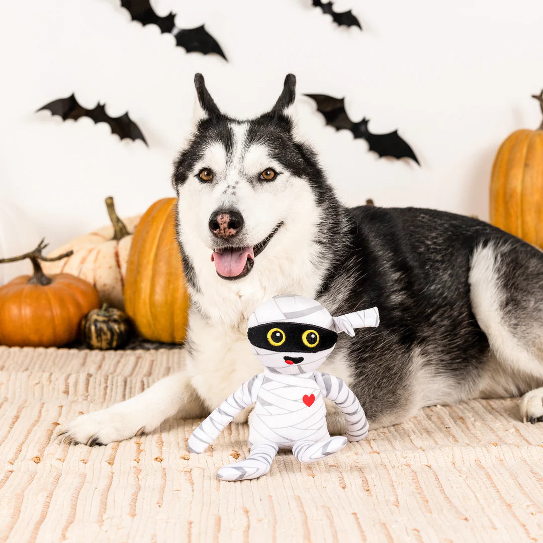 PetShop by Fringe Studio Oh My Gauze Plush Dog Toy