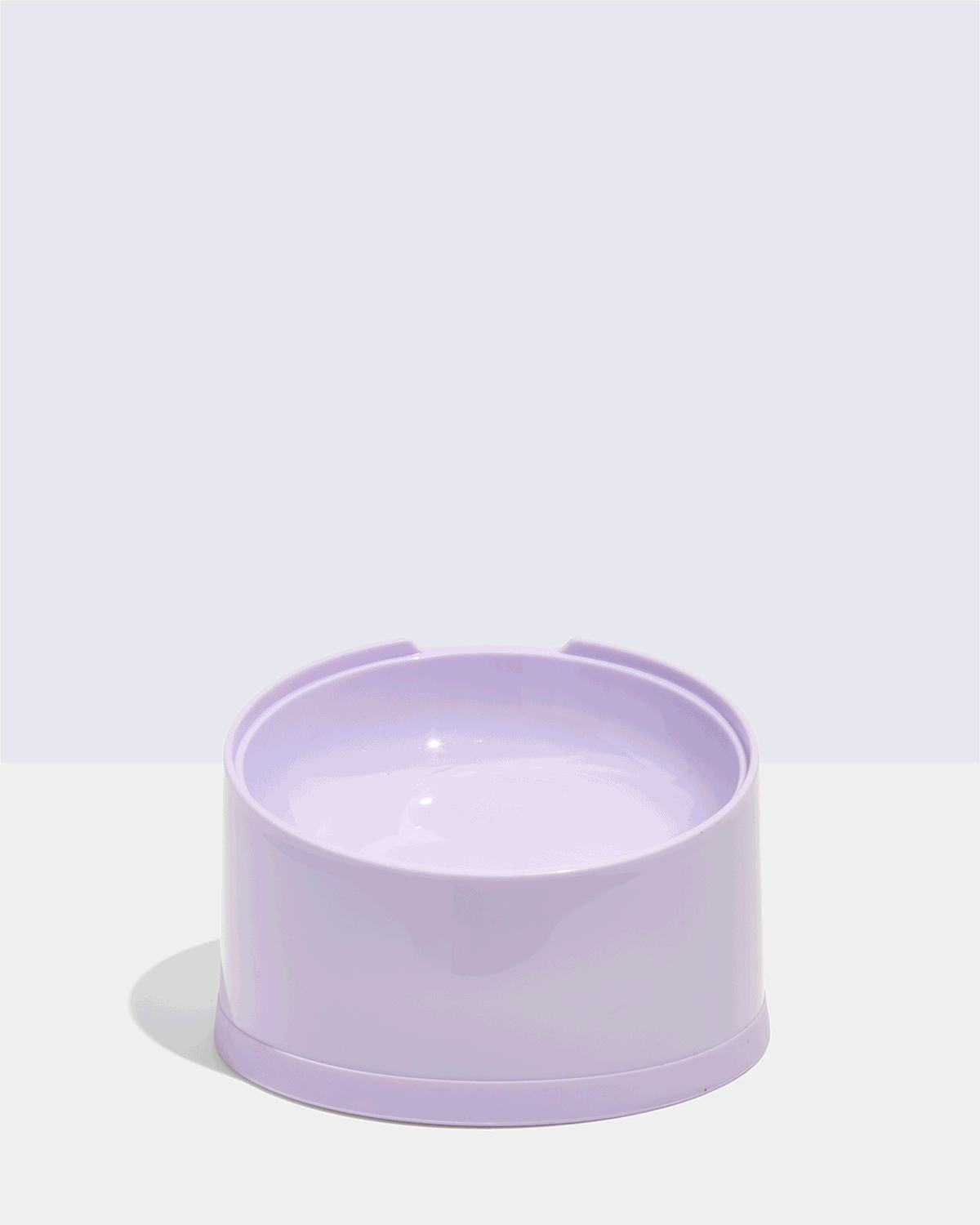 Wild One - Slanted Cat Bowl: Lilac