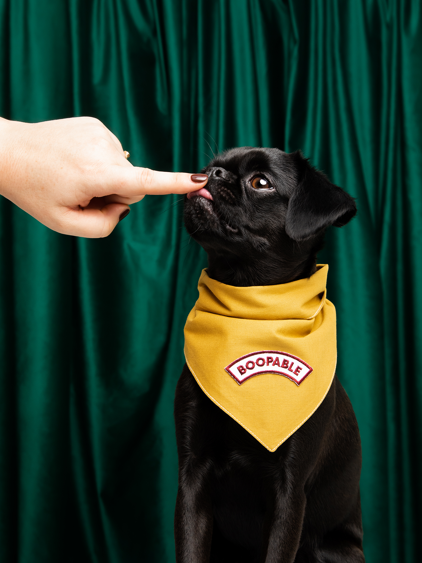 Scout's Honour Pty Ltd - Boopable iron-on patch for dogs