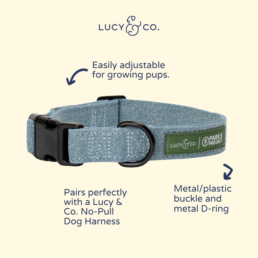Lucy &amp; Co. - Lucy &amp; Co. x Parks Project Adventures with Friends Collar