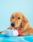 BARK Rocket Droolsicle Fourth Of July Plush Dog Toy