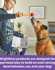 Brightkins Dog Toy Training Set Pooch School