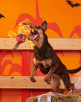 BARK Jack-Crow-Lantern Plush Dog Toy