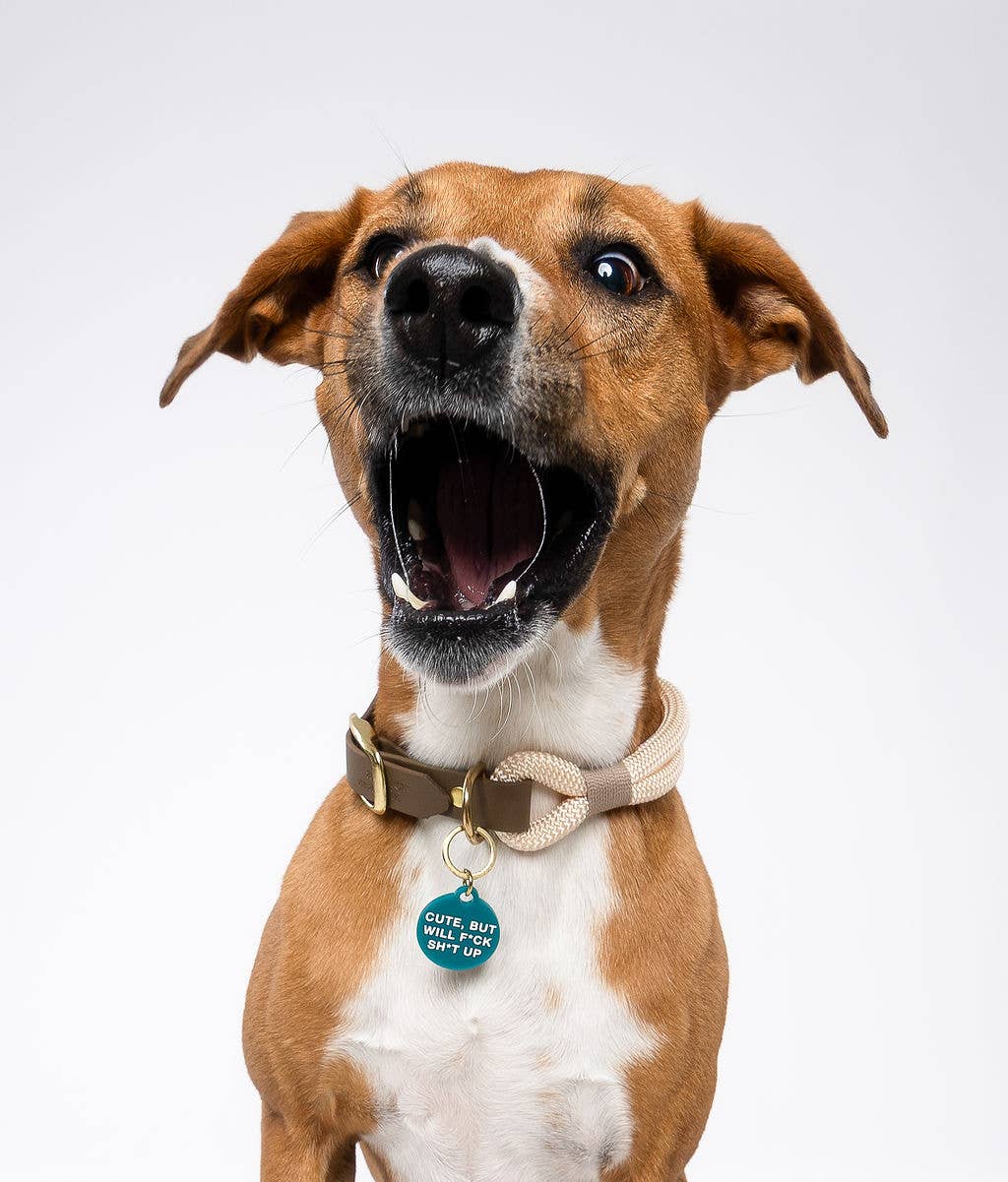 Freshwater Curated Goods™ - Cute But Will F*ck Sh*t Up Pet Tag