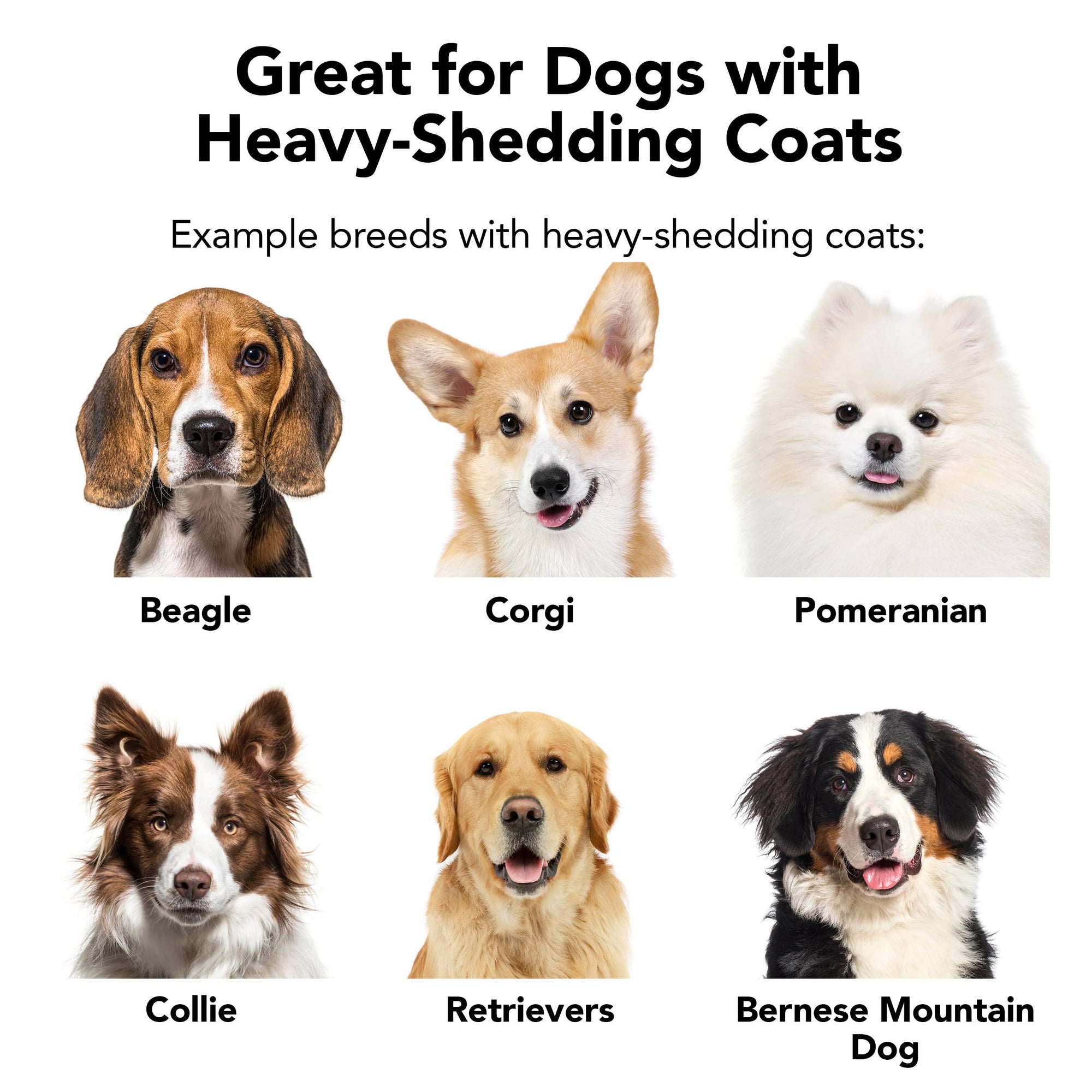 PRIDE+GROOM - THE SHEDDER Shampoo, 12oz
