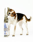 Cod Skins - 4.7oz Tube - Dog & Cat Treats
