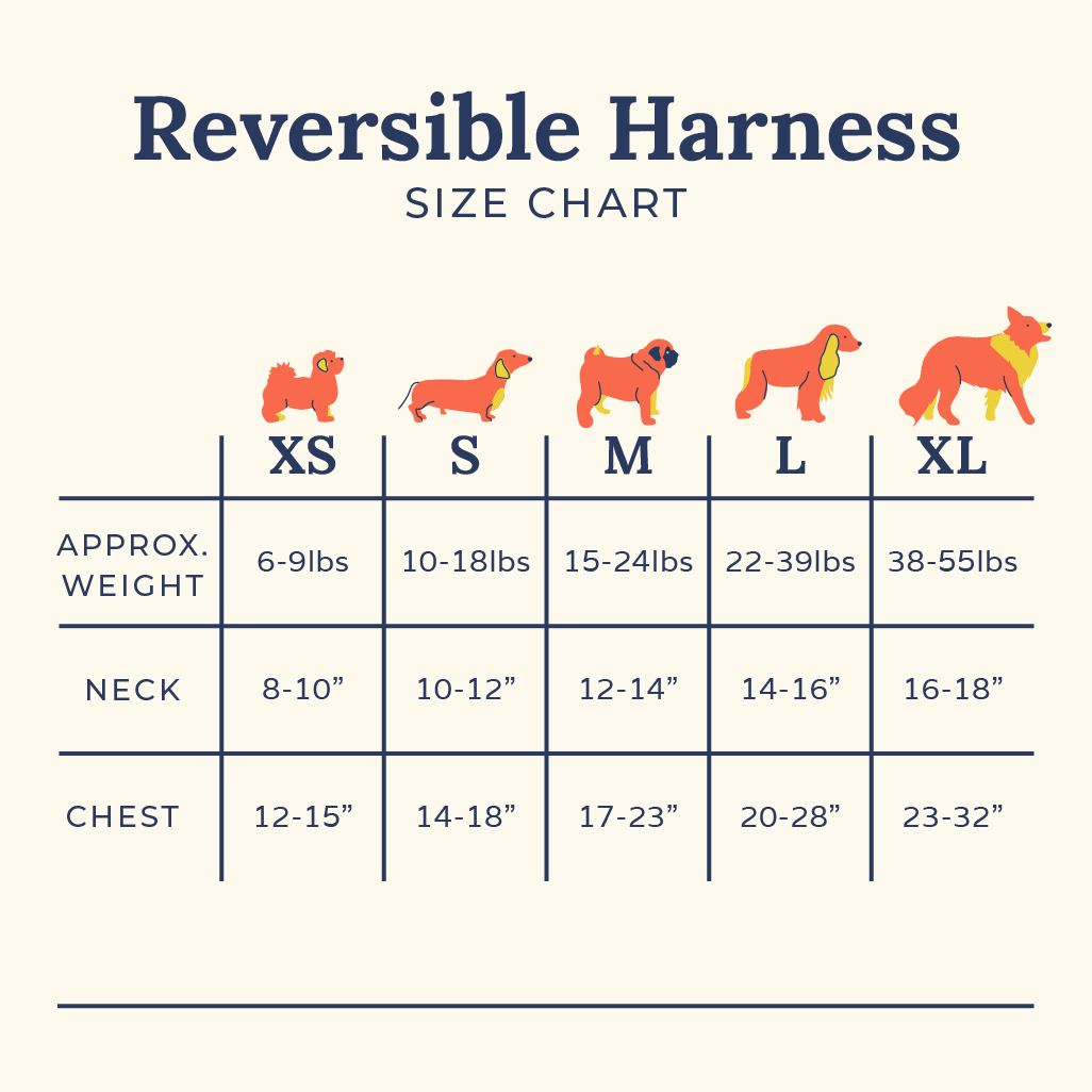 Lucy &amp; Co. - Take a Bow Reversible Harness: L
