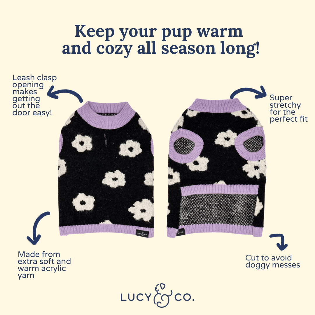 Lucy &amp; Co. - Far Out Sweater