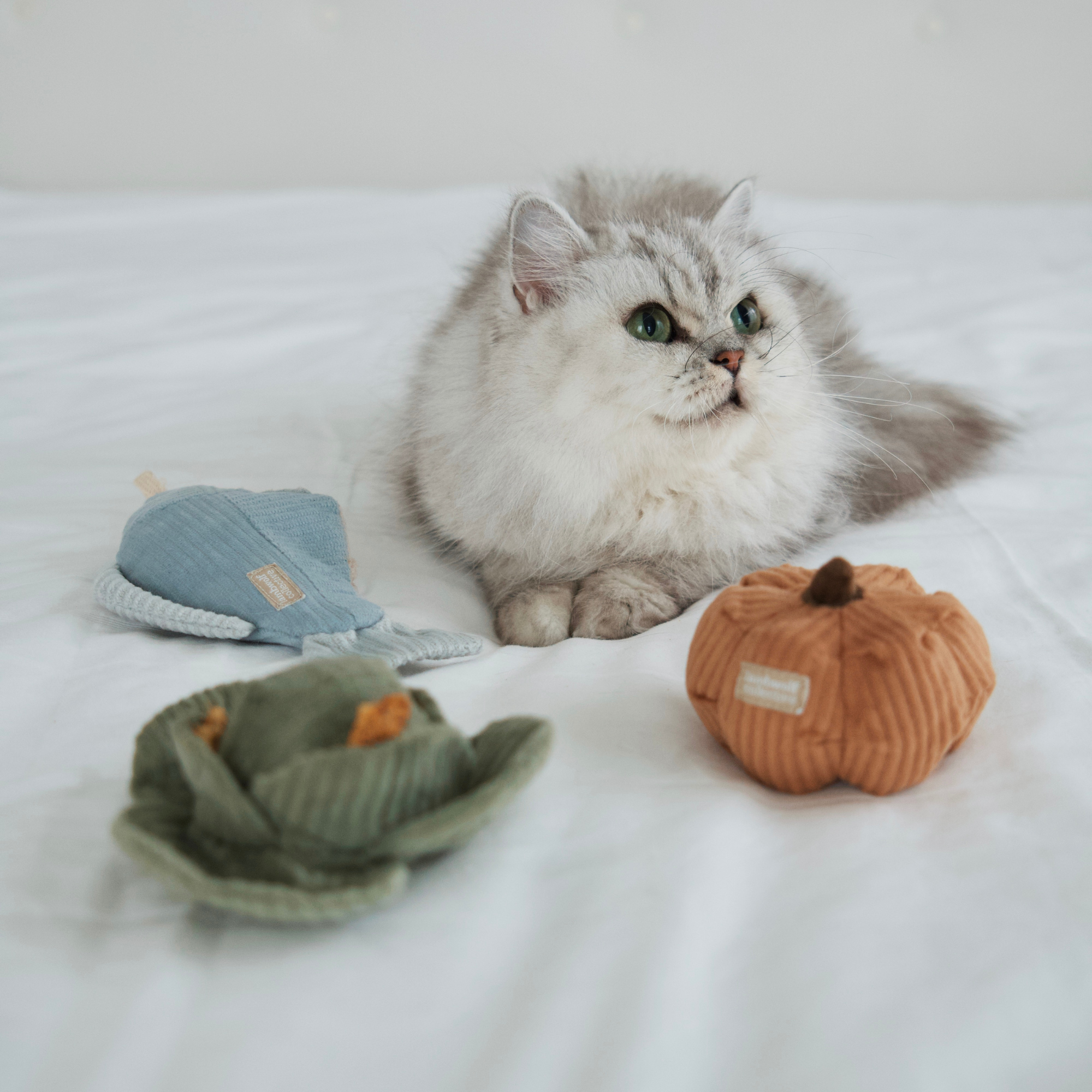Lambwolf Collective - KITTY VEGGIE SET // CAT TOY // CATNIP