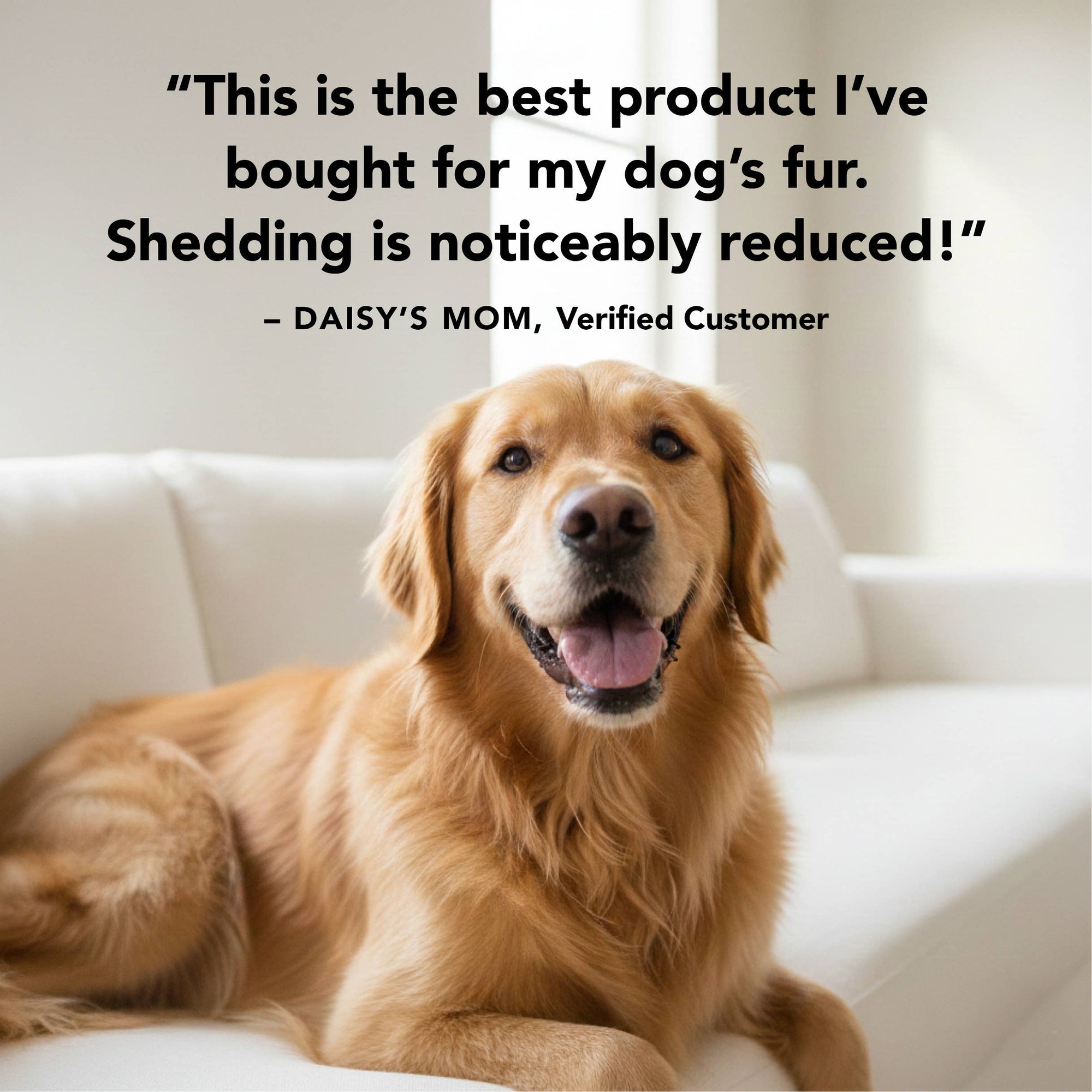 PRIDE+GROOM - THE SHEDDER Shampoo, 12oz