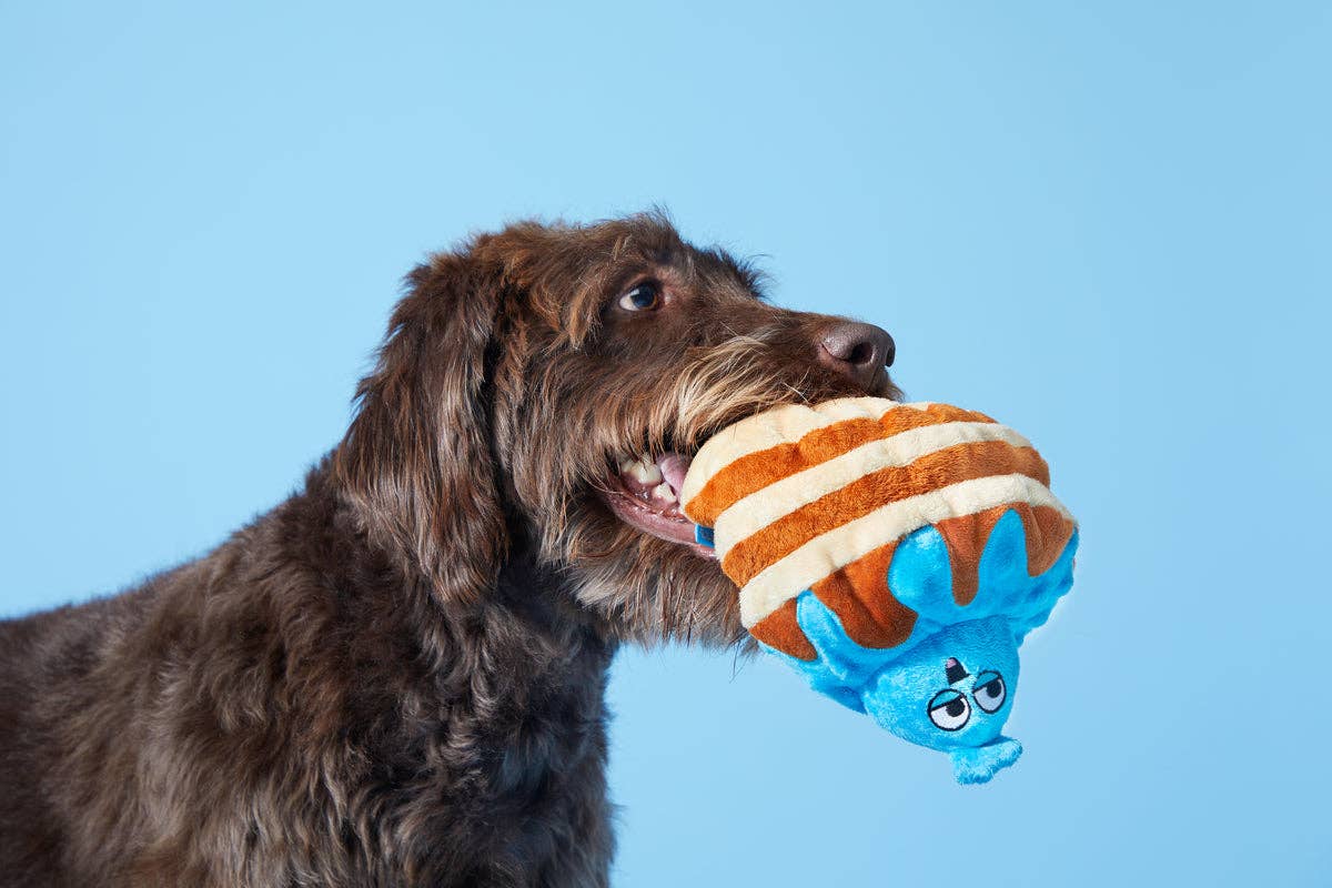 BARK Chewberry Pancakes Plush Dog Toy: Default Title