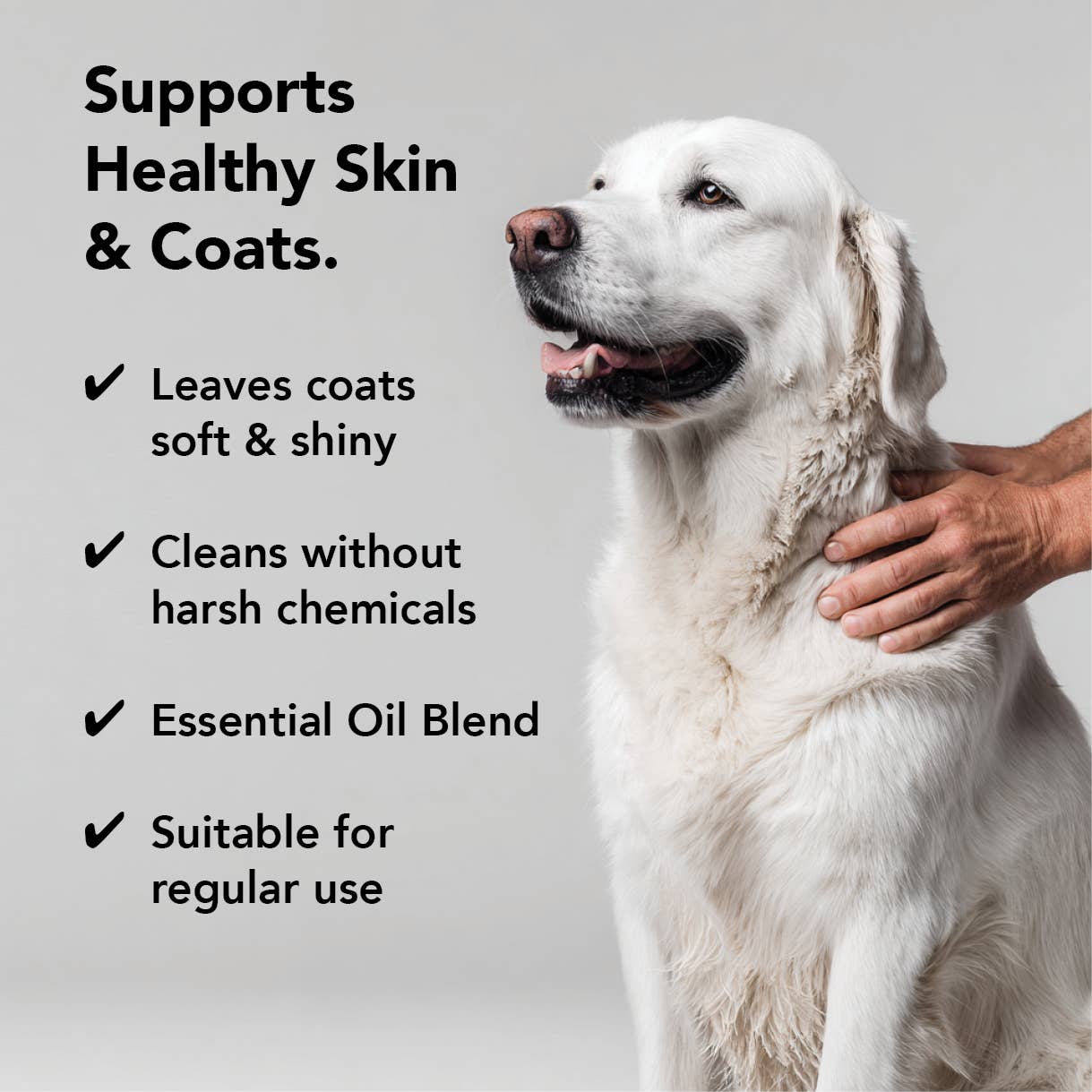 PRIDE+GROOM - THE FLEA+TICK