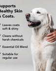 PRIDE+GROOM - THE FLEA+TICK