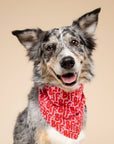 The Paws - BFF Dog Bandana