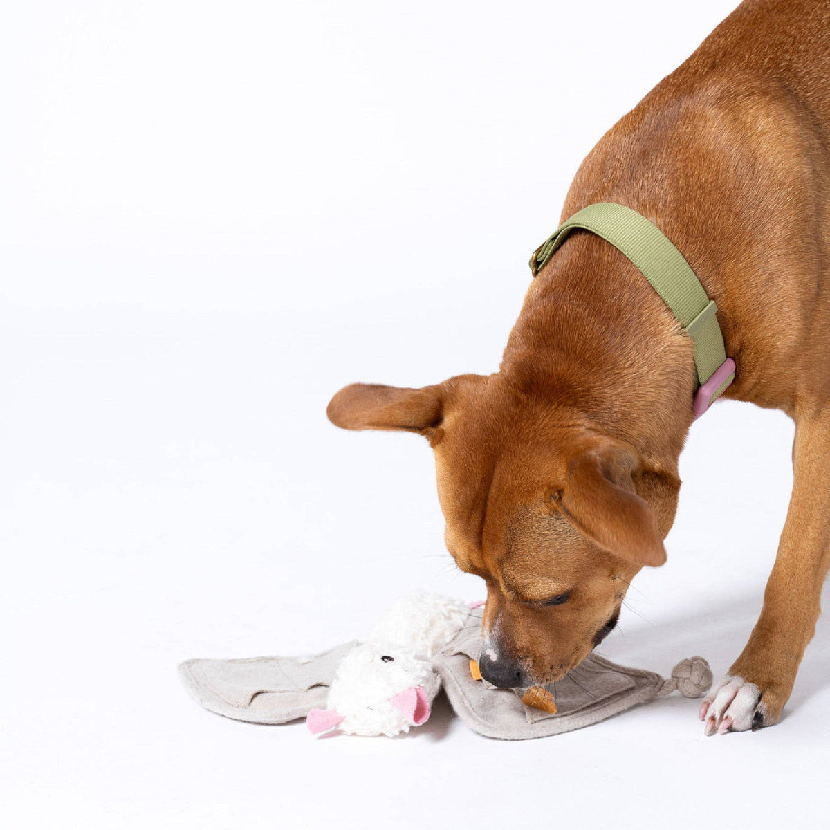 Awoo - Luna the Bat Organic Cotton Snuffle Toy