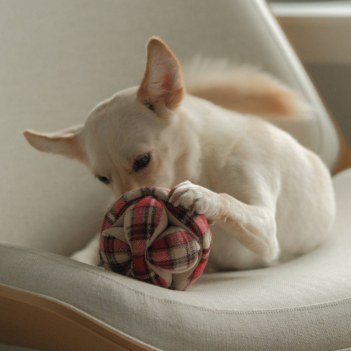 Lambwolf Collective - FLANNEL MONTI // ENRICHMENT DOG TOY // HOLIDAY