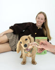 Winnie Lou - Bison Tendon Chews