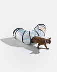 Wild One - Cat Tunnel: Lunar