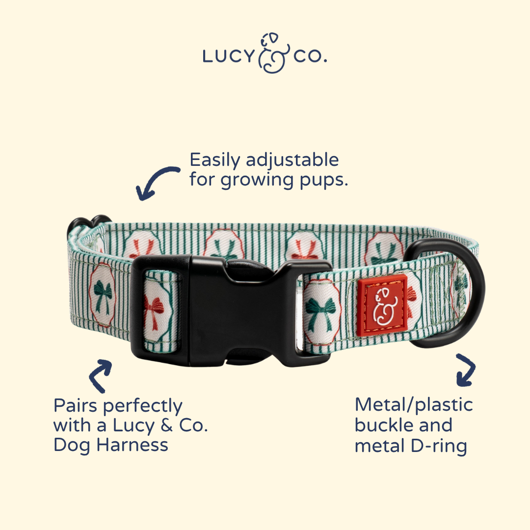 Lucy &amp; Co. - Wrap it Up Print Collar