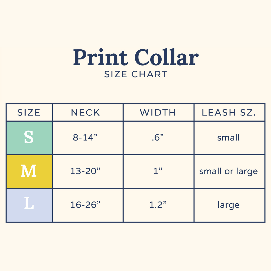 Lucy &amp; Co. - Lucy &amp; Co. x Parks Project Sequoia Seedlings Collar