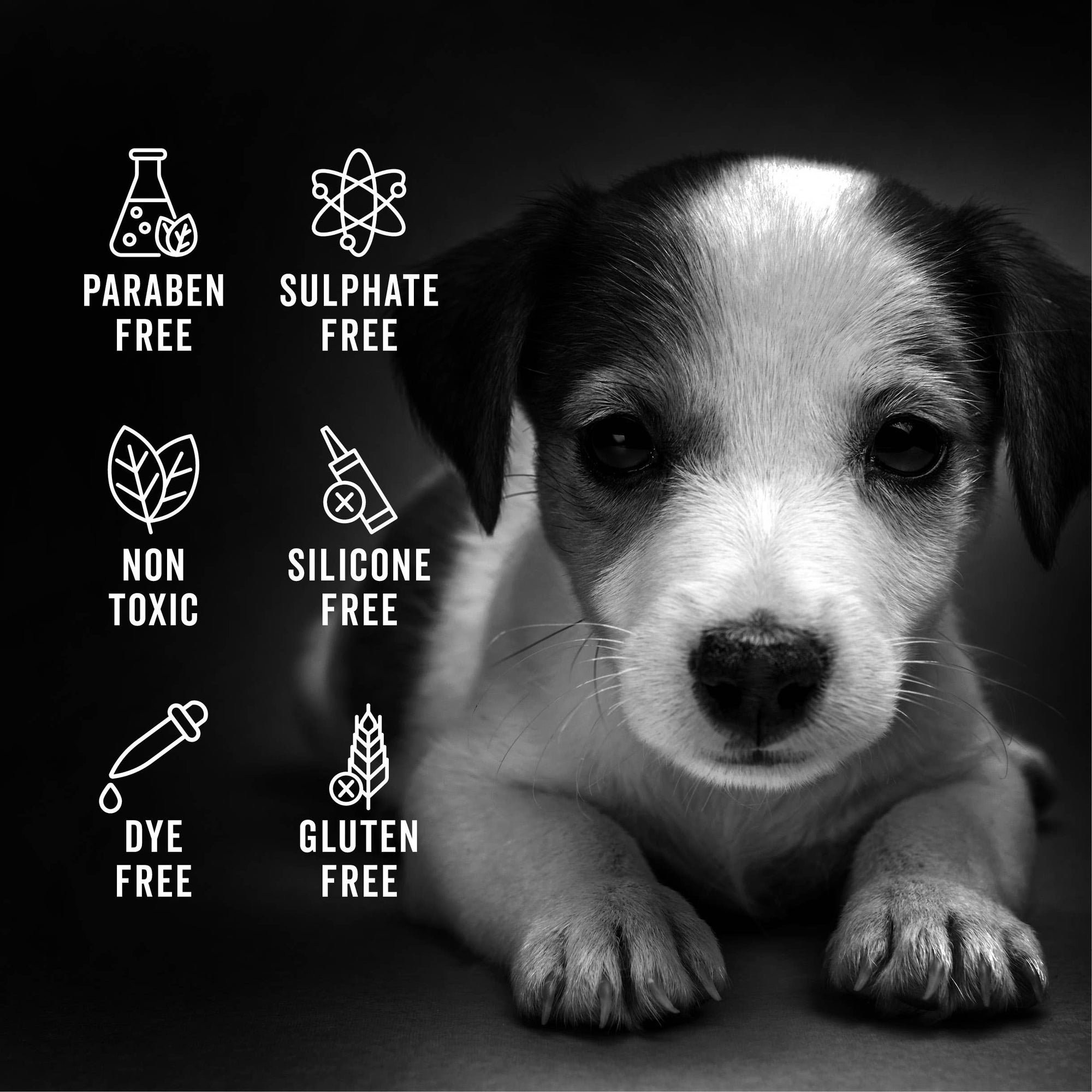 PRIDE+GROOM - THE SENSITIVE ONE | SHAMPOO FOR SENSITIVE COATS + PUPPIES: Medium