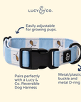 Lucy & Co. - Bumbling Around Collar