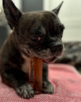 Wag & Bright Supply Co. - Mighty Marrows Collagen Dental Chew - Bacon - 3 Sizes: Large
